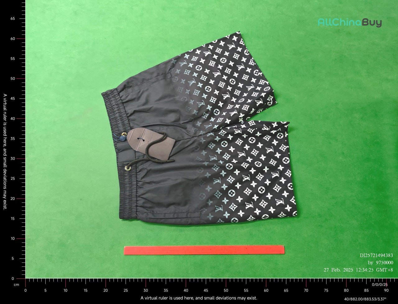 LV Shorts Beach Pants