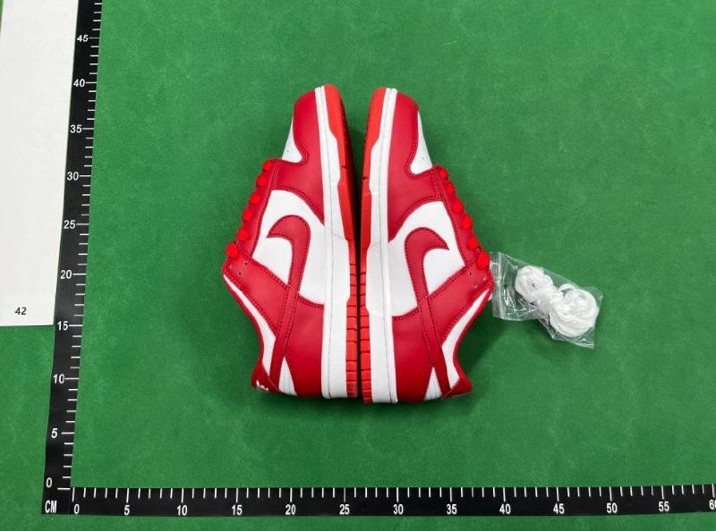 Nike Dunk Sneakers