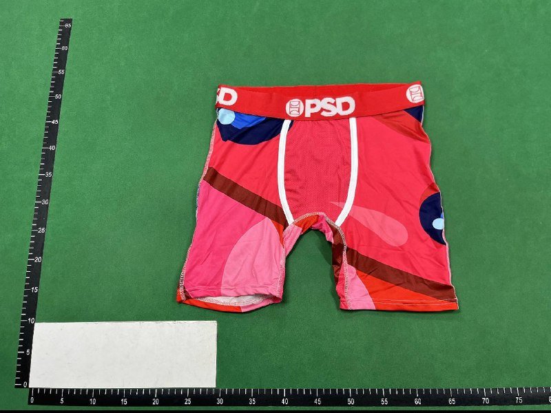 PSD underwear  (20 CP)