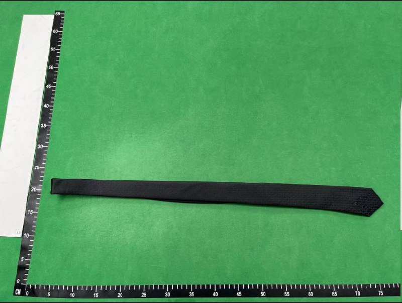 Hermes&Dior Tie