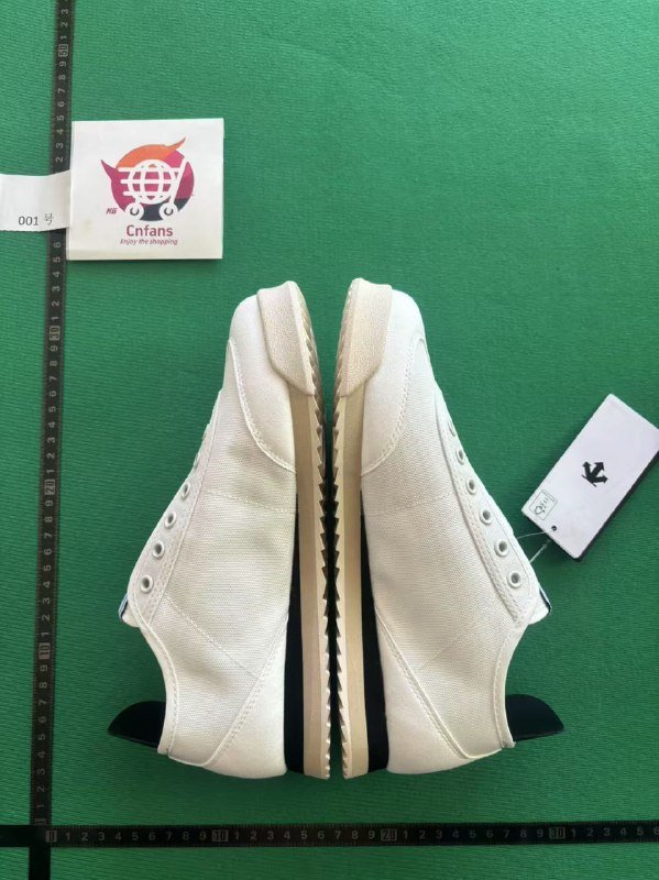 Descente Chrono shoes