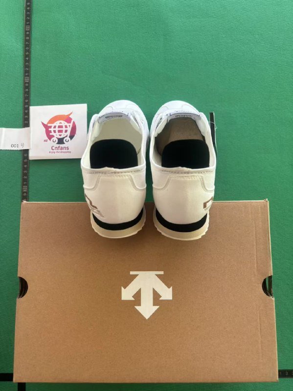 Descente Chrono shoes