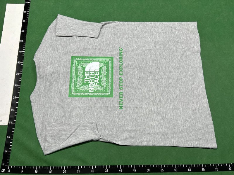 the north face T-shirt