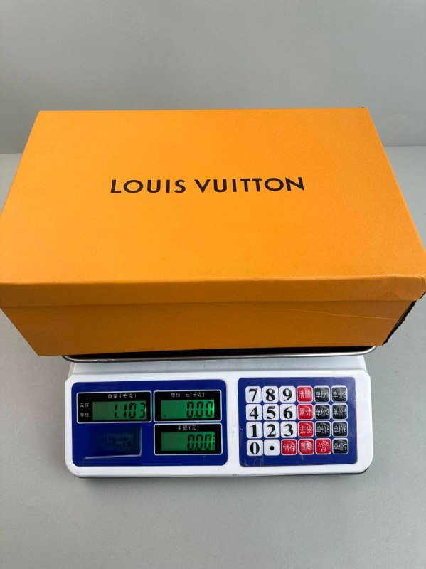 LV Casual Shoes