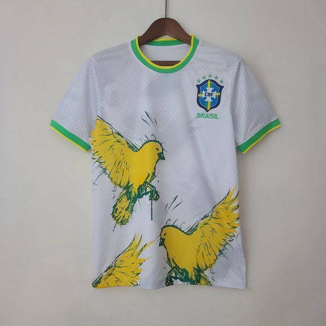 Brazilian team jersey