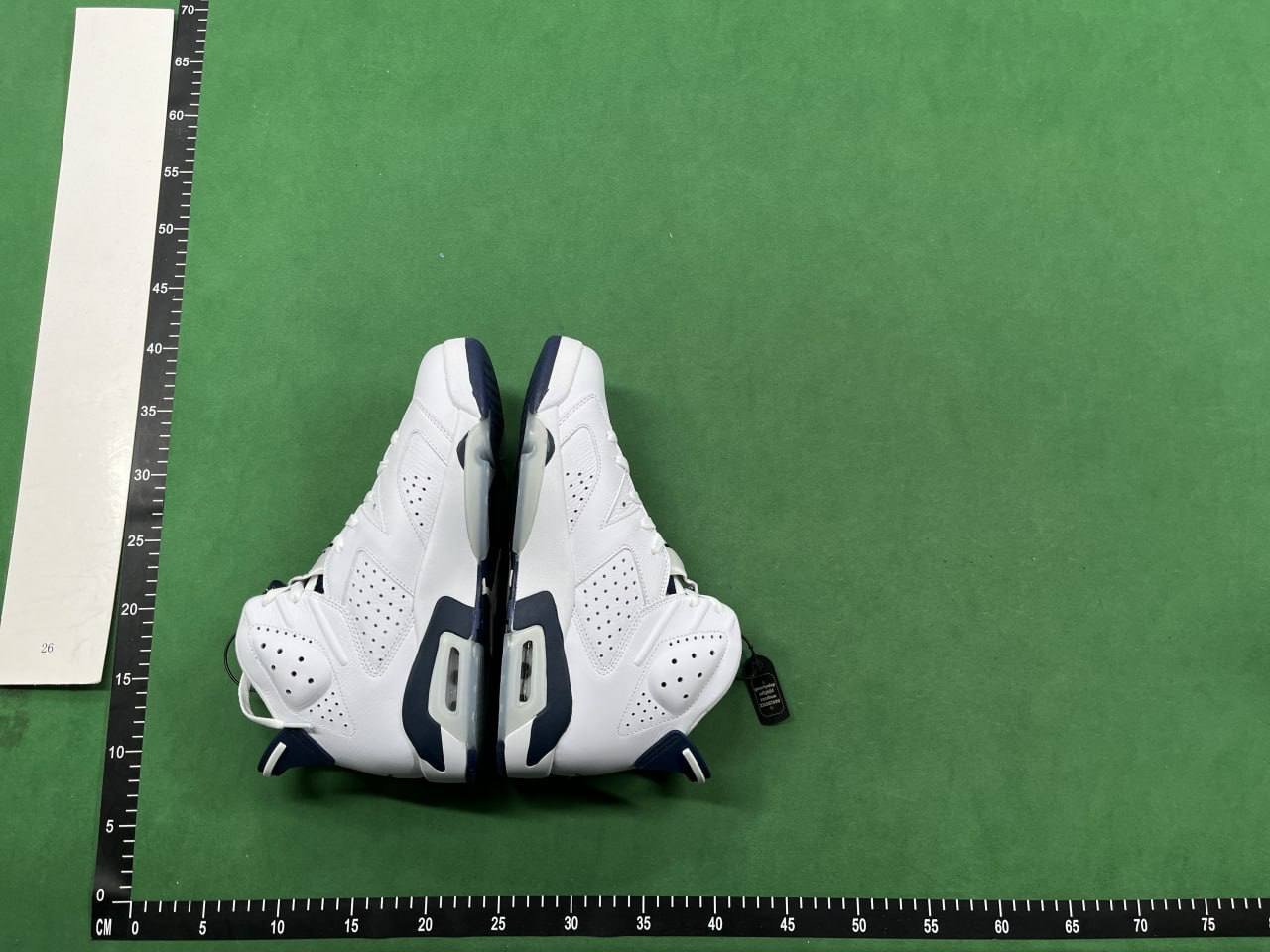 Air Jordan 6