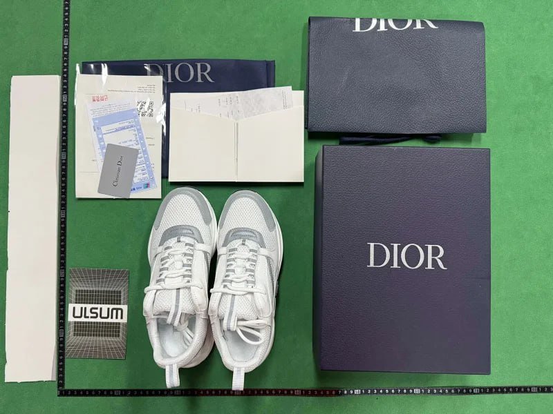 Dior B22