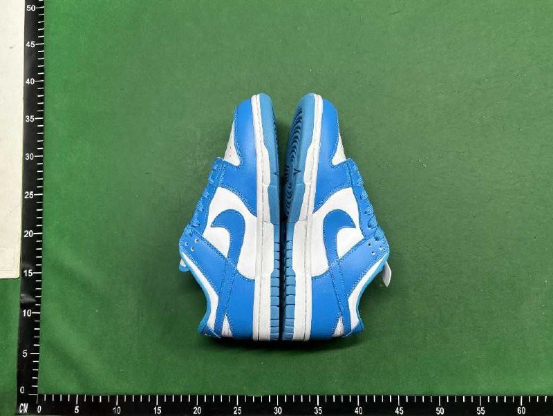 Nike Dunk SB