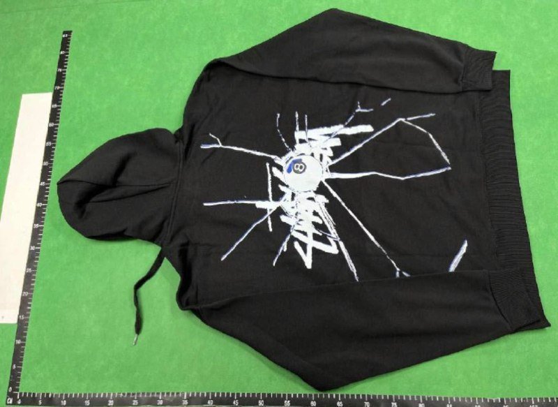 stussy hoodie