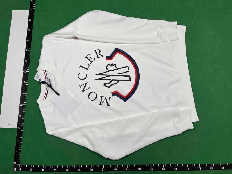 Moncler Hoodie Sweatshirt [Down Jacket Style]