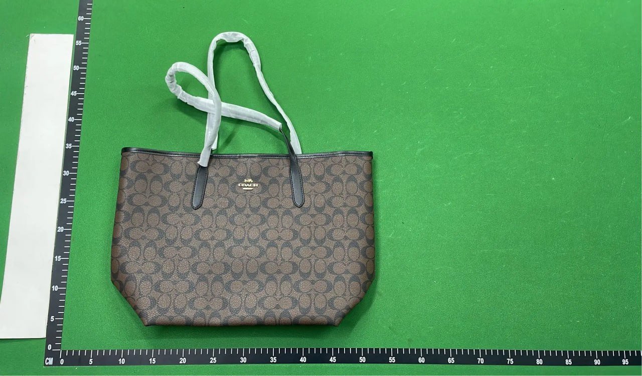 Coach, Fendi, Louis Vuitton, Gucci, Prada Bags [40+ styles]