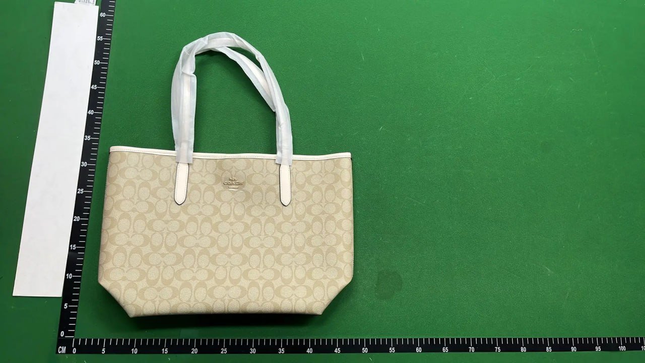 Coach, Fendi, Louis Vuitton, Gucci, Prada Bags [40+ styles]