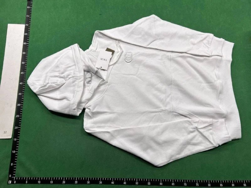 Dior CD Icon Hoodie