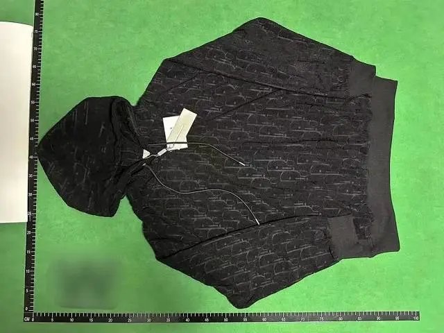 Dior CD Icon Hoodie