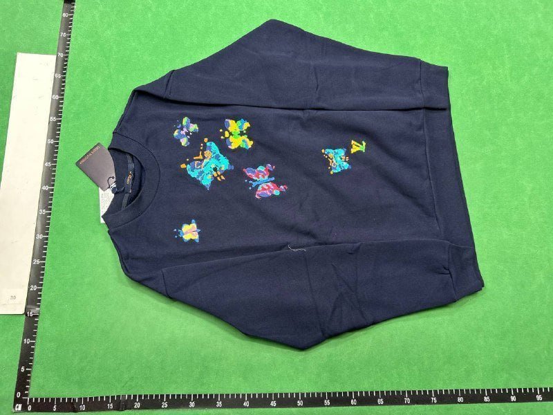 Louis Vuitton sweatshirt (36 CP)