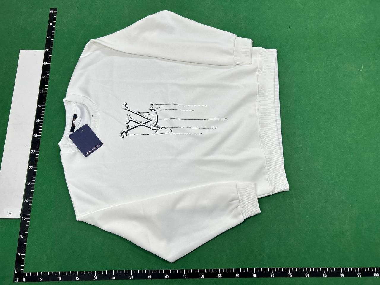 Louis Vuitton sweatshirt (36 CP)