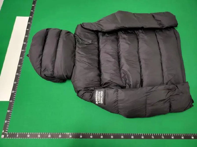 Burberry Hooded Puffer Jacket [4 styles]