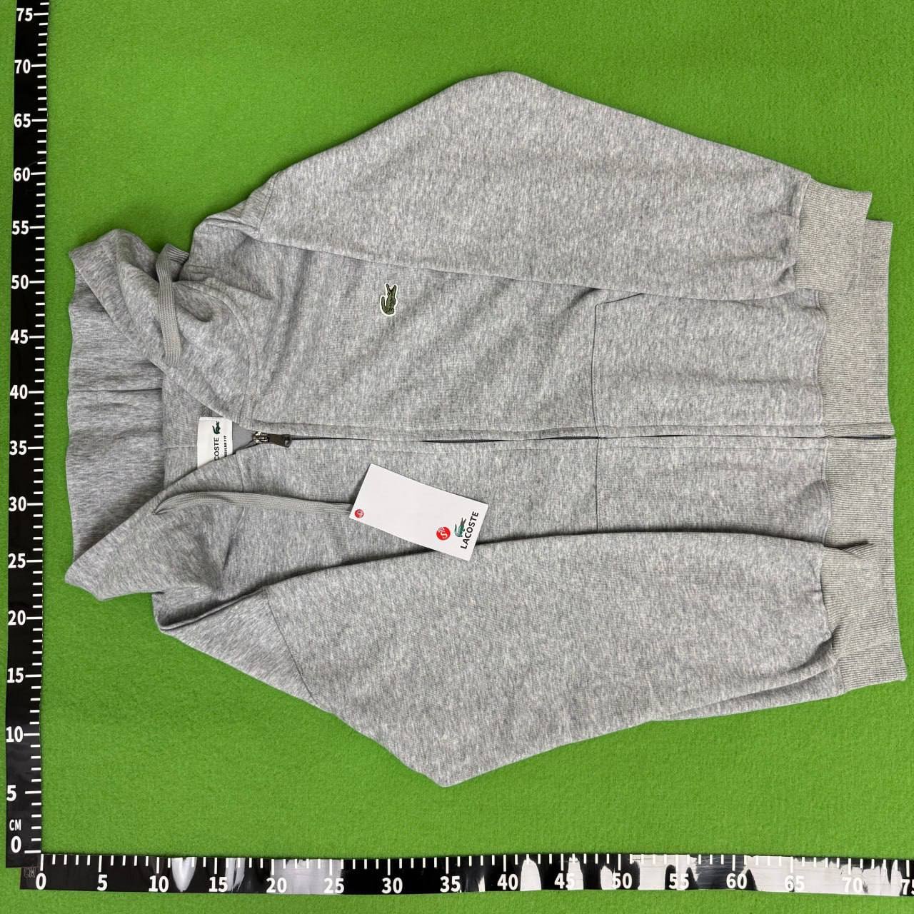 LACOSTE Crocodile Graphic Sweatshirt [40 styles]