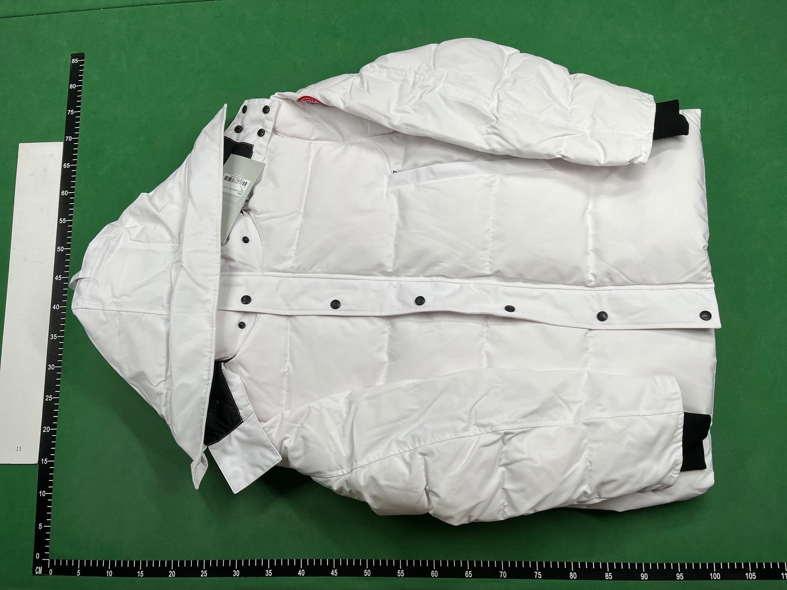 Canada Goose Expedition Parka [1 style]