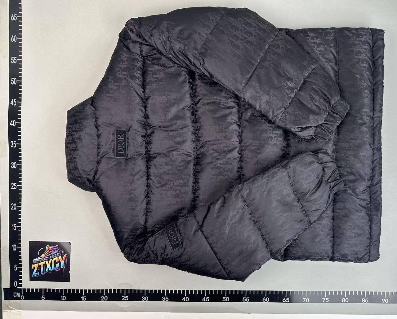 Dior Oblique Down Jacket [3 styles]