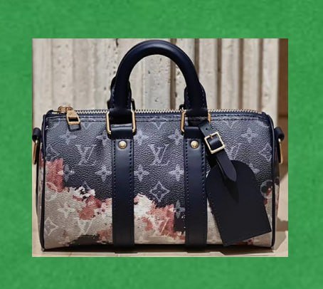 Louis Vuitton Graffiti Speedy Bag [40 styles]
