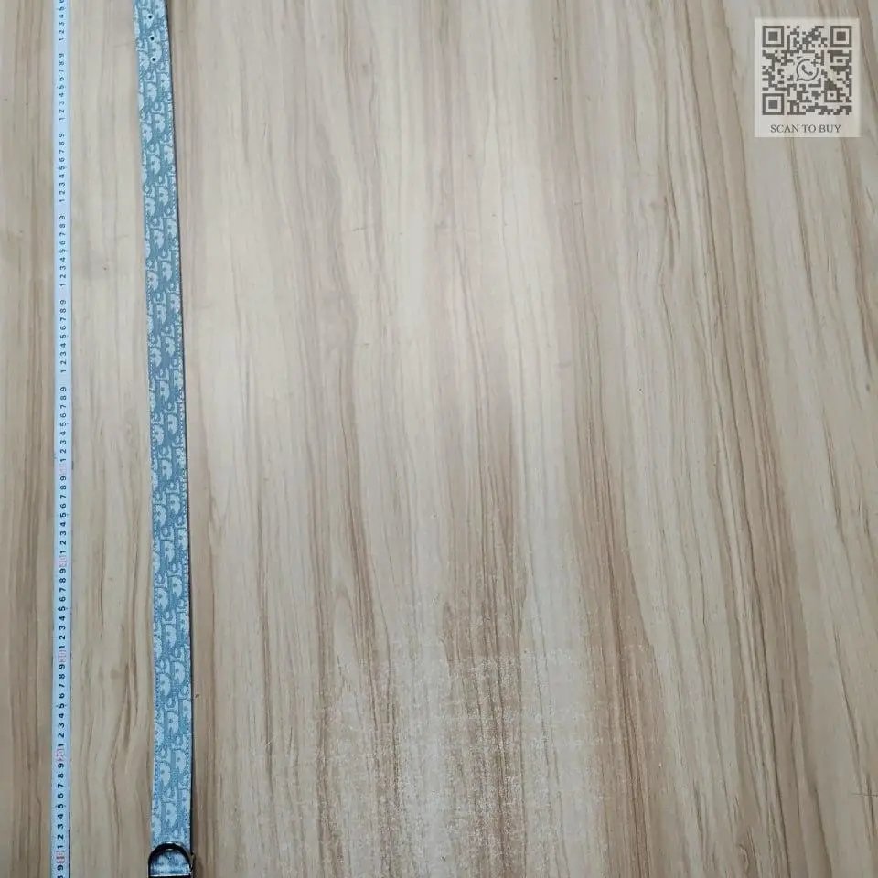 Dior Oblique Belt [4 styles]