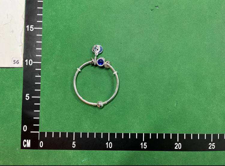 PANDORA Unforgettable Moments Bracelet [40 styles]