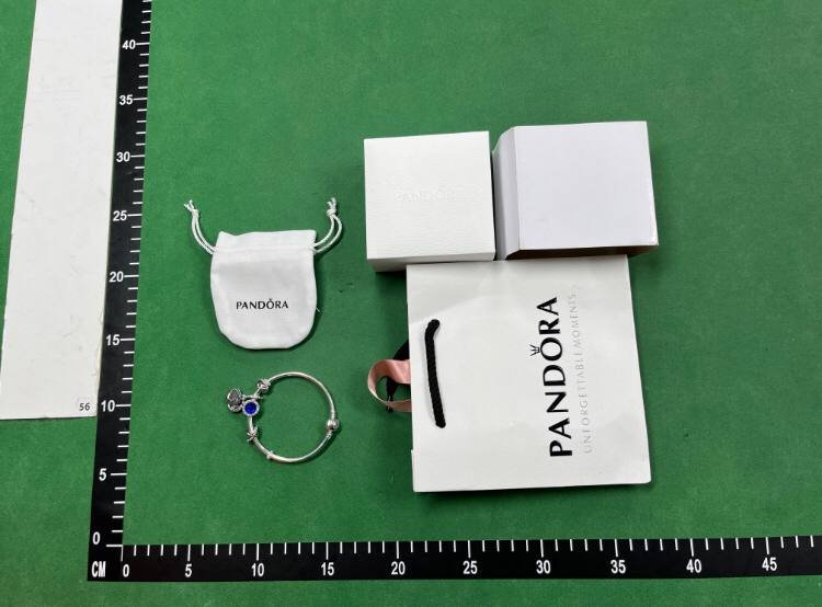 PANDORA Unforgettable Moments Bracelet [40 styles]