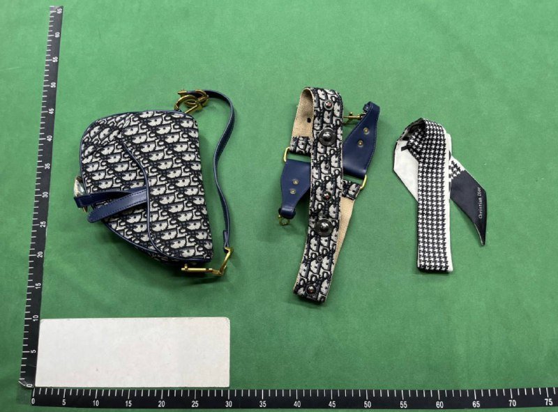 Dior Saddle Bag [40 styles]