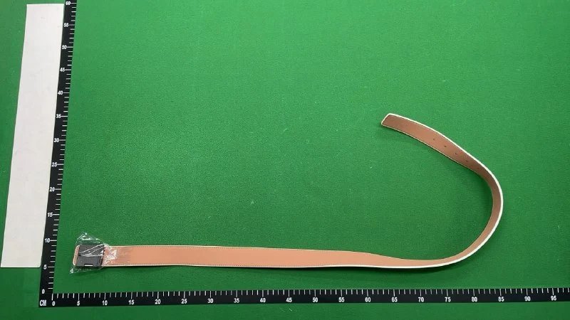 Louis Vuitton LV Iridescent Belt [18 styles]