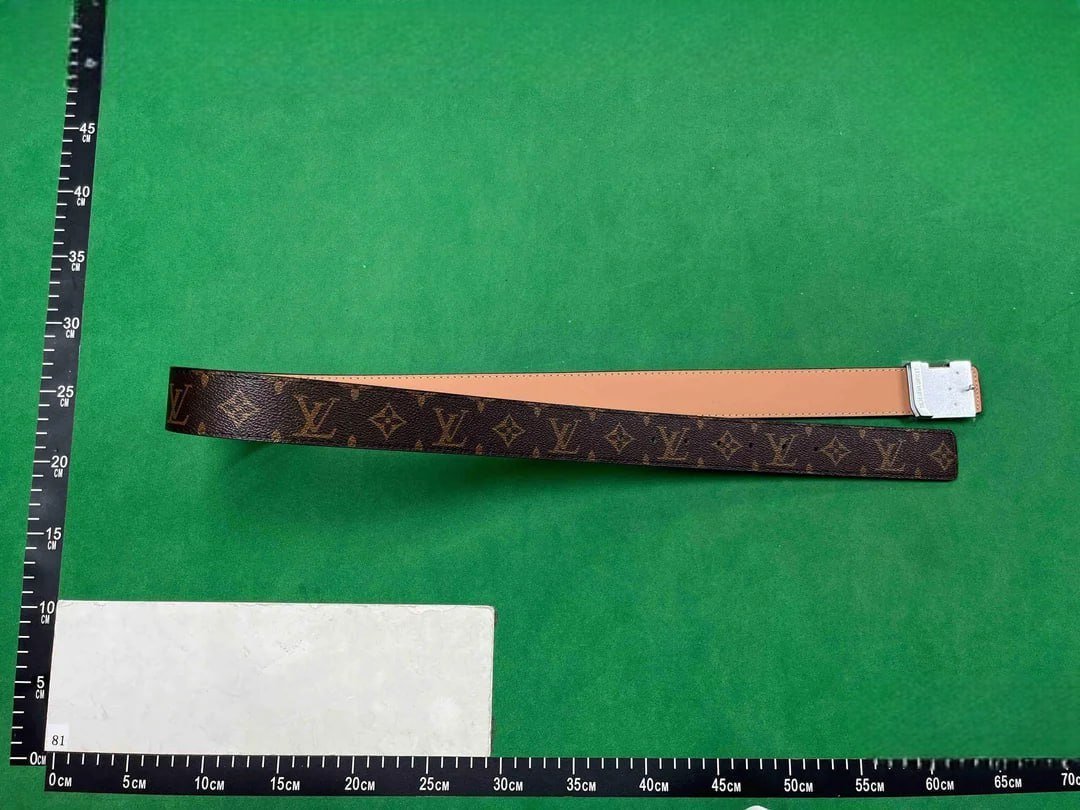 Louis Vuitton Damier Ebene Belt [12 styles]
